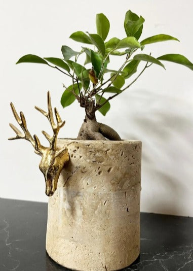 Traverten Mermer Vazo, Traverten Saksı